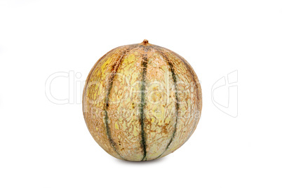 Galia Charentais Melone isoliert