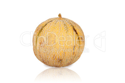 Galia Cantaloupe Melone isoliert und gespiegelt