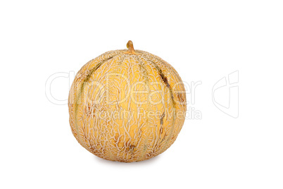Galia Cantaloupe Melone isoliert