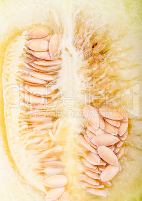 Makroaufnahme einer Cantaloupe Galiamelone