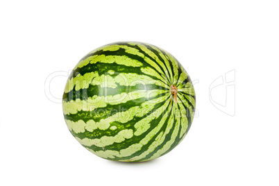 Einzelne reife Wassermelone isoliert