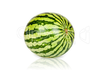 Große reife Wassermelone isoliert und gespiegelt