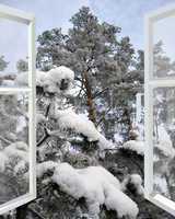 open window to snowy winter forest