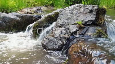 Forest river with stones
