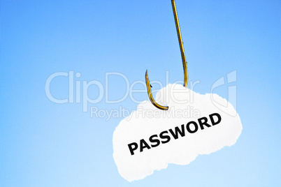 Phishing Password Concept