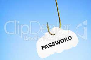 Phishing Password Concept