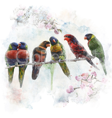 Watercolor Image Of  Colorful Parrots