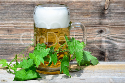 Bierglas Hopfen