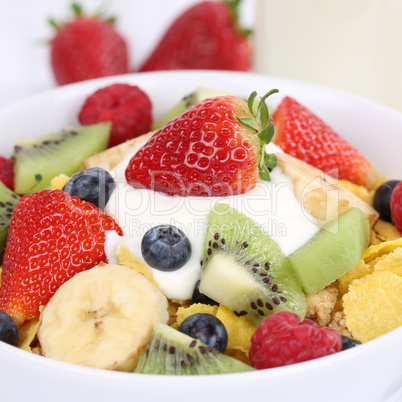 Früchte Joghurt und Milch zum Frühstück