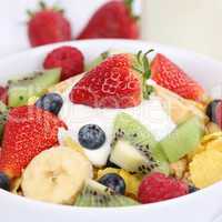 Früchte Joghurt und Milch zum Frühstück