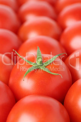 Tomate Gemüse mit Textfreiraum