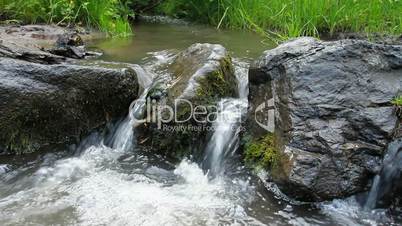 Forest river with stones