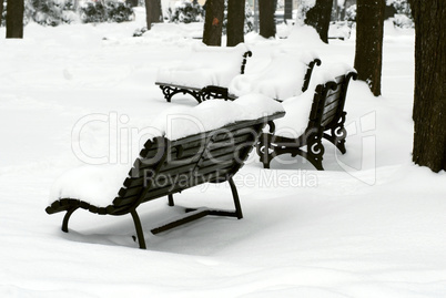 Bench at snow