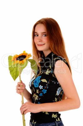 Pretty girl with sunflower.