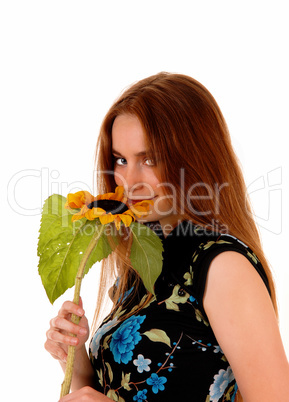 Portrait of girl with sunflower.