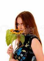 Portrait of girl with sunflower.