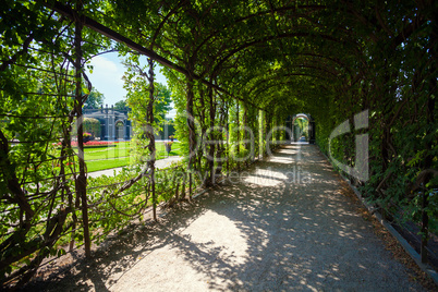 Walkway under a green natural tunnel