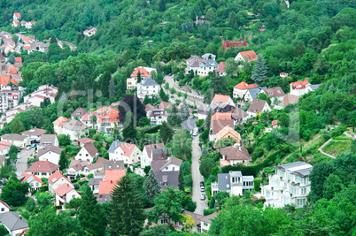 urban landscape and woods view from above