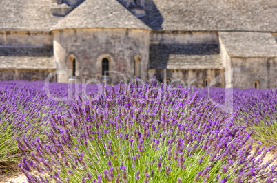 Monasteries of the Cistercian