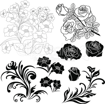Set of isolated floral elements for design