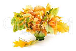 composition of autumn leaves isolated on white background