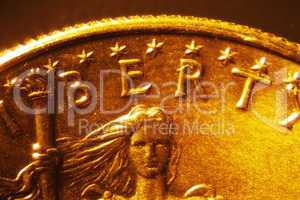 Gold Coin