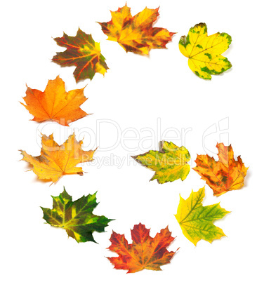 Letter G composed of autumn maple leafs