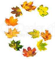 Letter G composed of autumn maple leafs