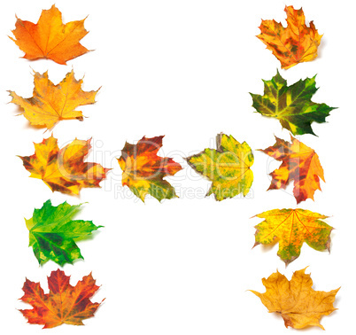 Letter H composed of autumn maple leafs