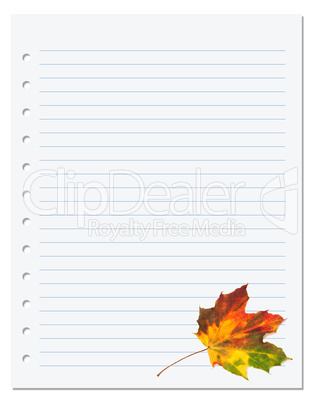 Notebook paper with multicolor autumn maple leaf on white