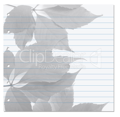 Notebook paper with virginia creeper leaf on background