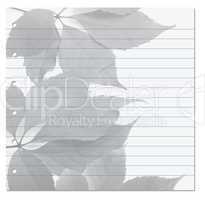 Notebook paper with virginia creeper leaf on background