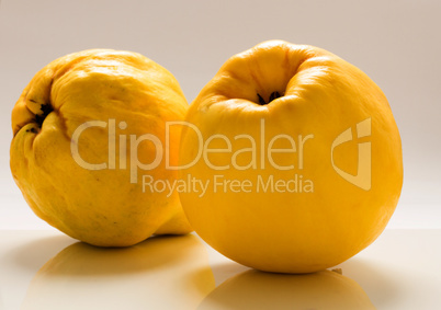 Quince  on a white background.