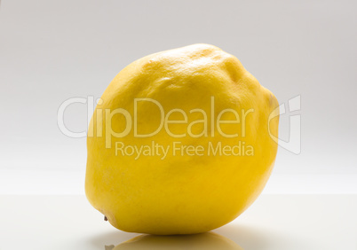 Quince  on a white background.