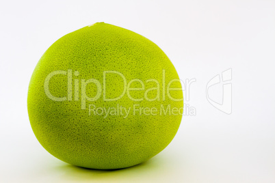 Grapefruit on a white background