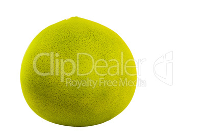 Grapefruit on a white background