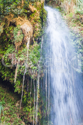 Ein Gedi spring, Israel.