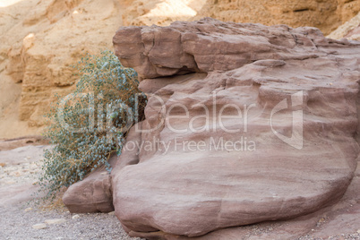 Beautiful mountain canyon