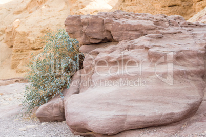 Beautiful mountain canyon