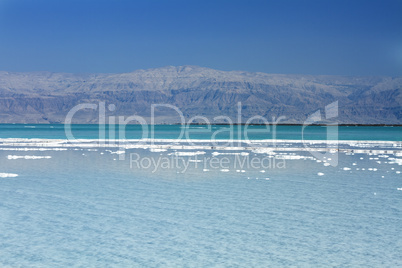 Beautiful coast of the Dead Sea .