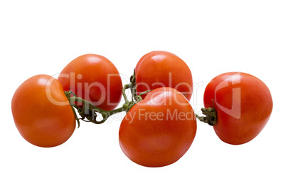 Tomato on white .