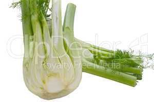 Fennel on a white background .