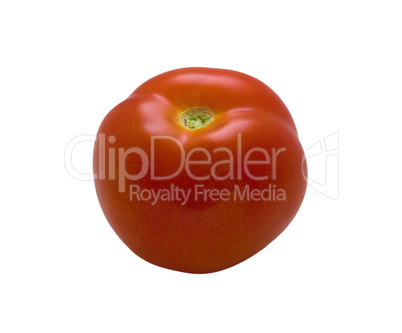 Tomato on white .