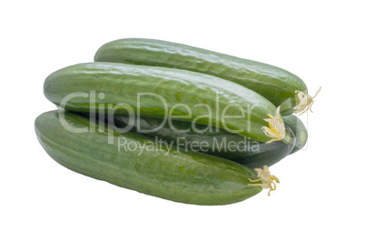 Cucumbers isolated on white .