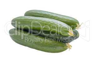 Cucumbers isolated on white .