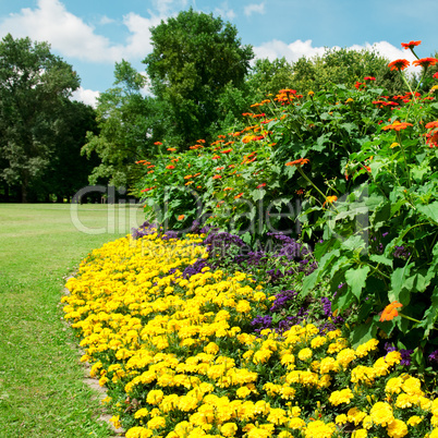 Beautiful flowerbed in summer park