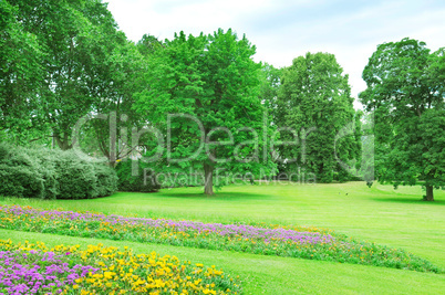 Summer park with lawn and flower garden