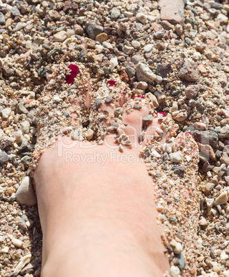 Womens sandy feet on beach