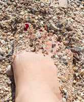 Womens sandy feet on beach