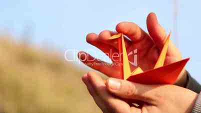 Origami, the art of origami